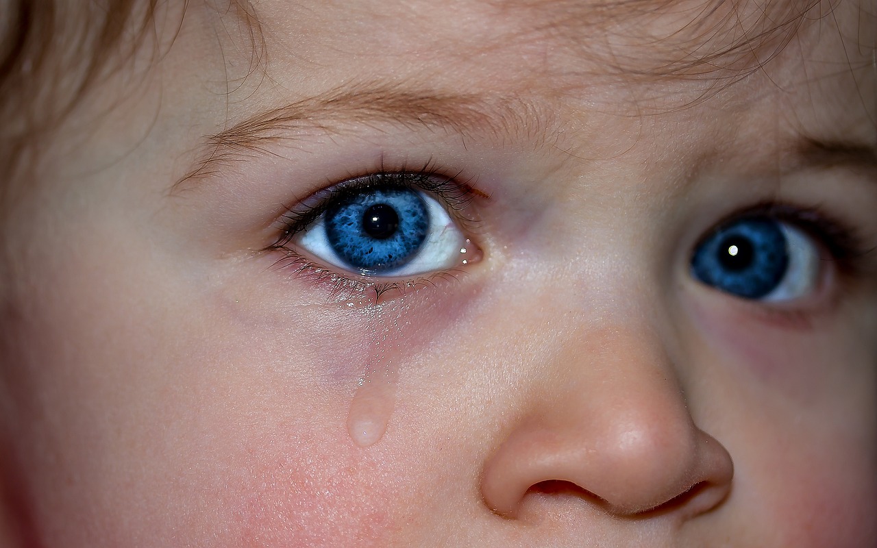 children's eyes, eyes, blue eyes-1914519.jpg
